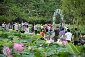 Tháng 7 - “Trẩy hội” Hàn Quốc cùng du học sinh