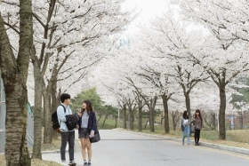 Tại sao nên chọn trường Đại học Hàn Quốc Sogang?