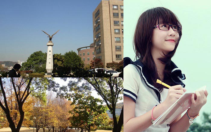Trường Đại học nào đào tạo tiếng Hàn?